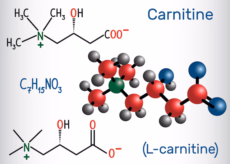 carnitine lcarnitine molecule structural chemical formula molecule model 979013 615