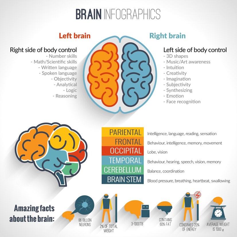 Brain Health info 1